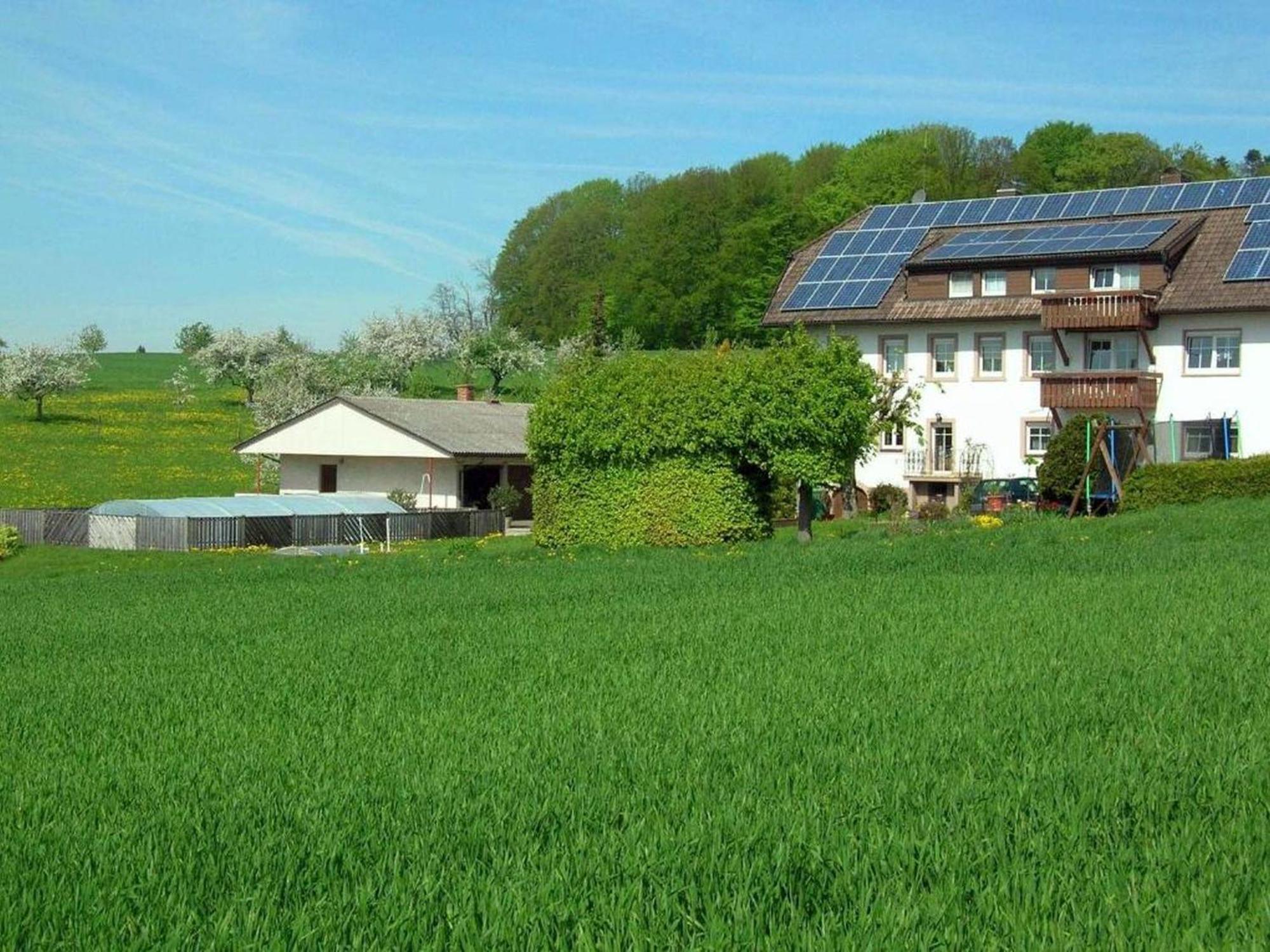 Fewo Siglinde Schneider Freiamt Exterior photo